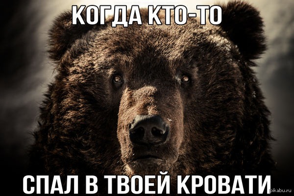 ����� ���� ��� ������