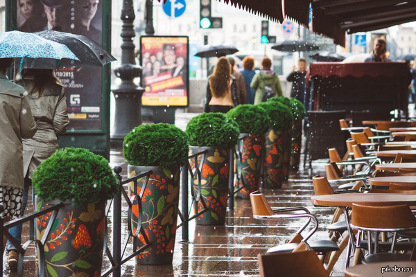 ������ - �����, �����, ������ ����, �����