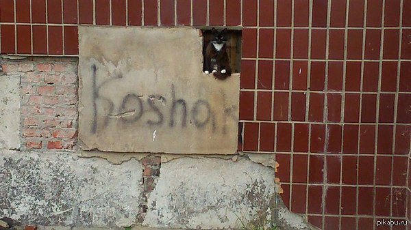 � ���� �� ���������