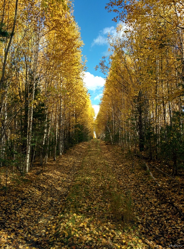 Осень на урале | Пикабу