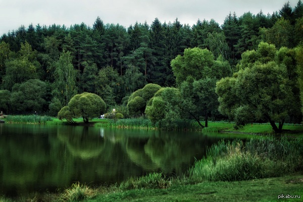 Люблю фотать природу