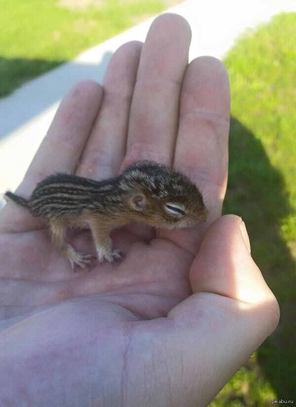 C Facebook &quot;-      ..&quot;