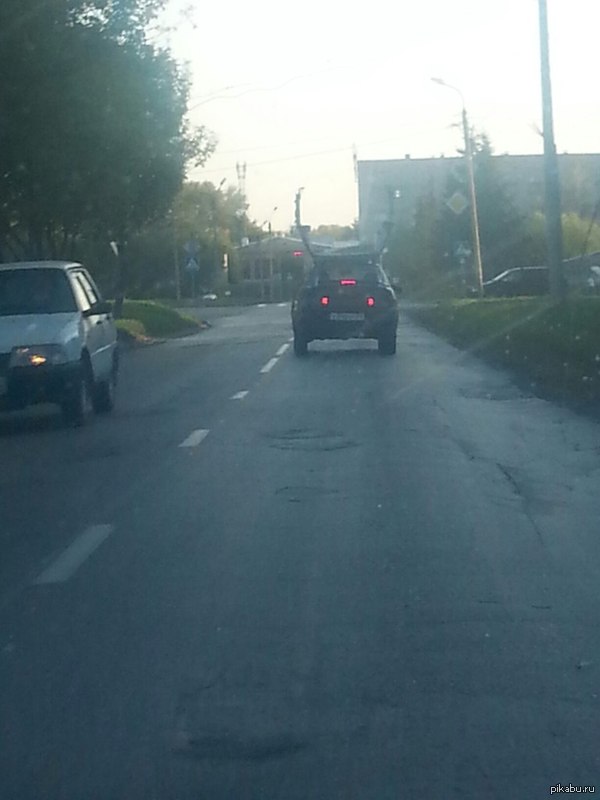 ���� ����� �����, ��� �����..