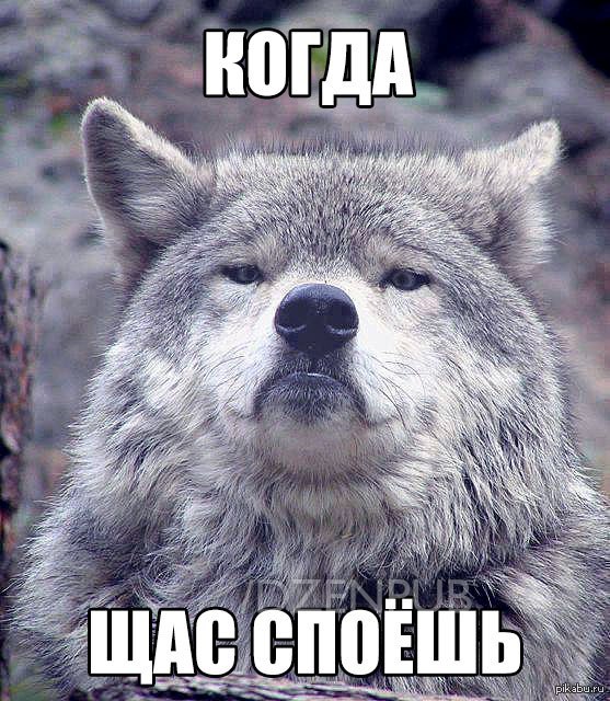 Открытки для, картинки с приколами на все случаи жизни