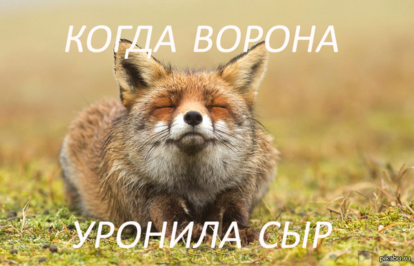 ����� ������!