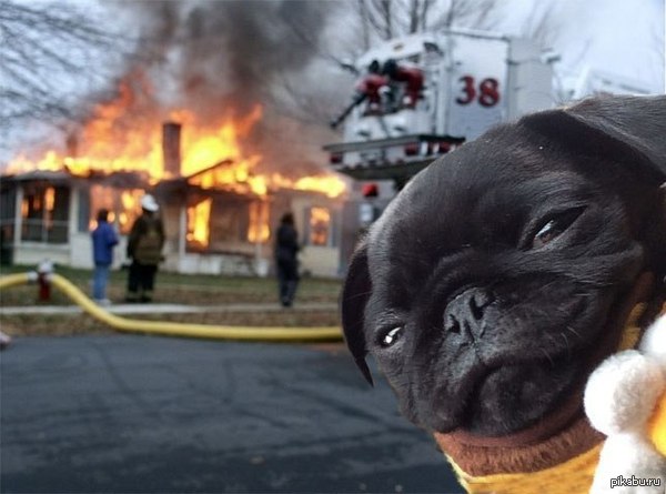 ������ ��� �� ����� ���