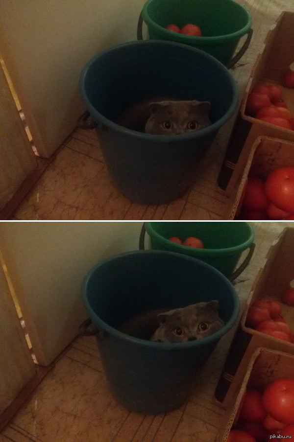 ���� ������, ��� ��� ��� ������, �� ����� ������ �������� � ������ � �����.