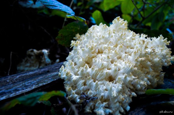 ������ ������������� ������� � ����� ������ ���� ��������� ����.