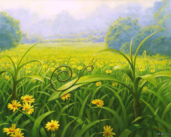 Утро улитки