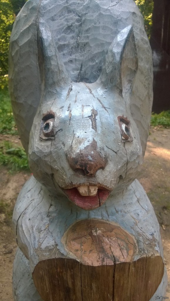 ������������