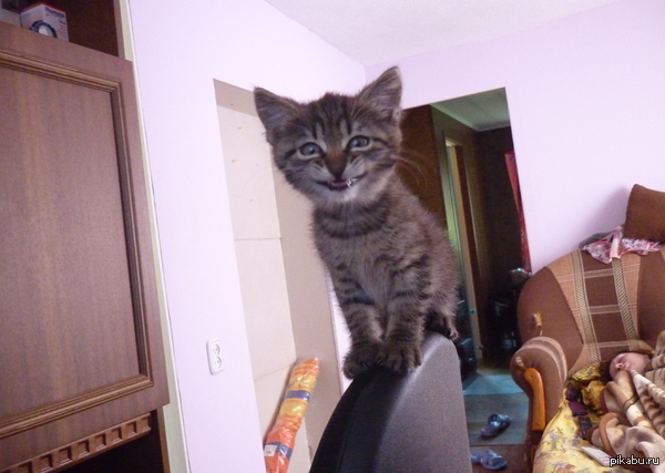 ������������ ������