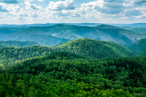 ������������ ������