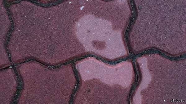 ���� �������� ����� ����� �����