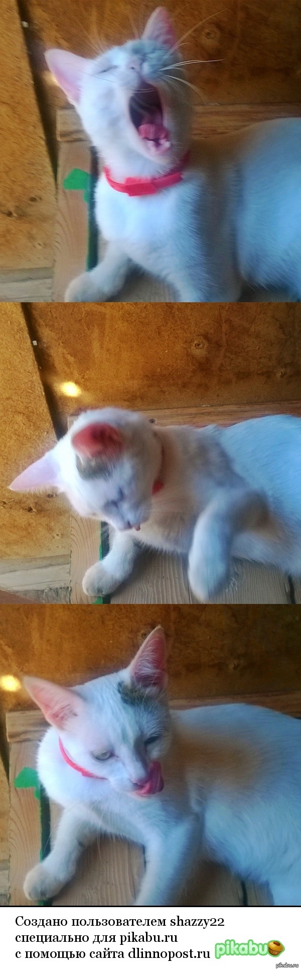           ,   :