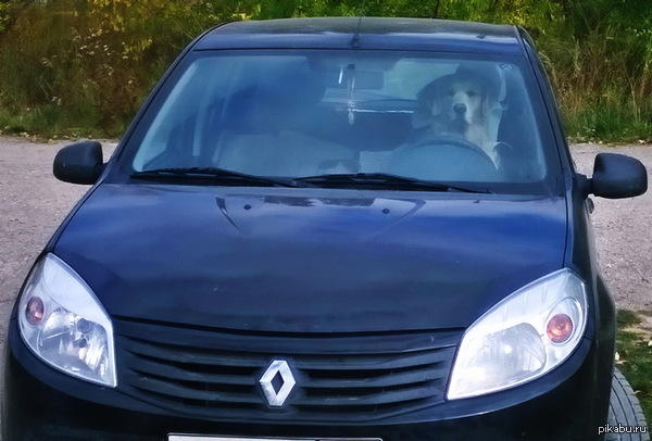 Неожиданно...