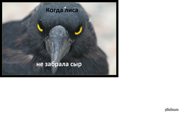 � ����� ��������� �������.