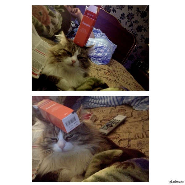 Он слишком стар для этого дерьма