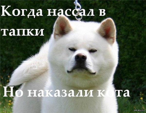 � ����� ��������� �������