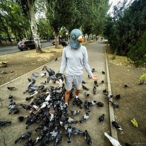 ����� �����