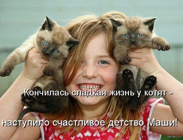 Happy childhood - cat, Childhood, Girl, Masha, Cats and kittens