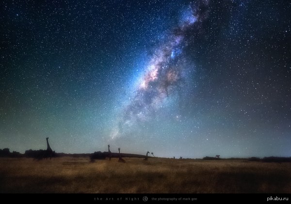 Снимок млечного пути. Кения, Африка.