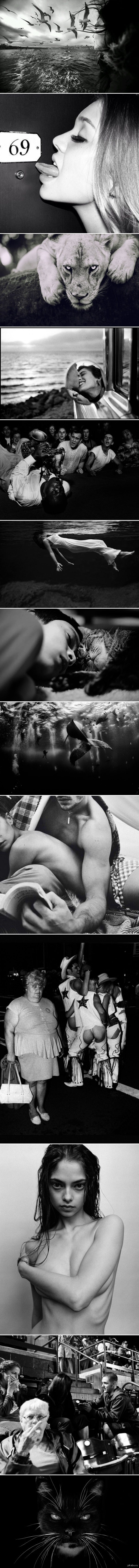 13 �����-����� ����