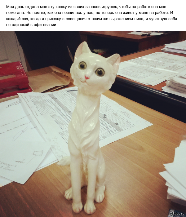� �� ������� � ����� �������