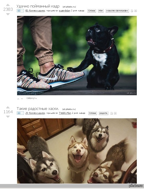 что там наверху?