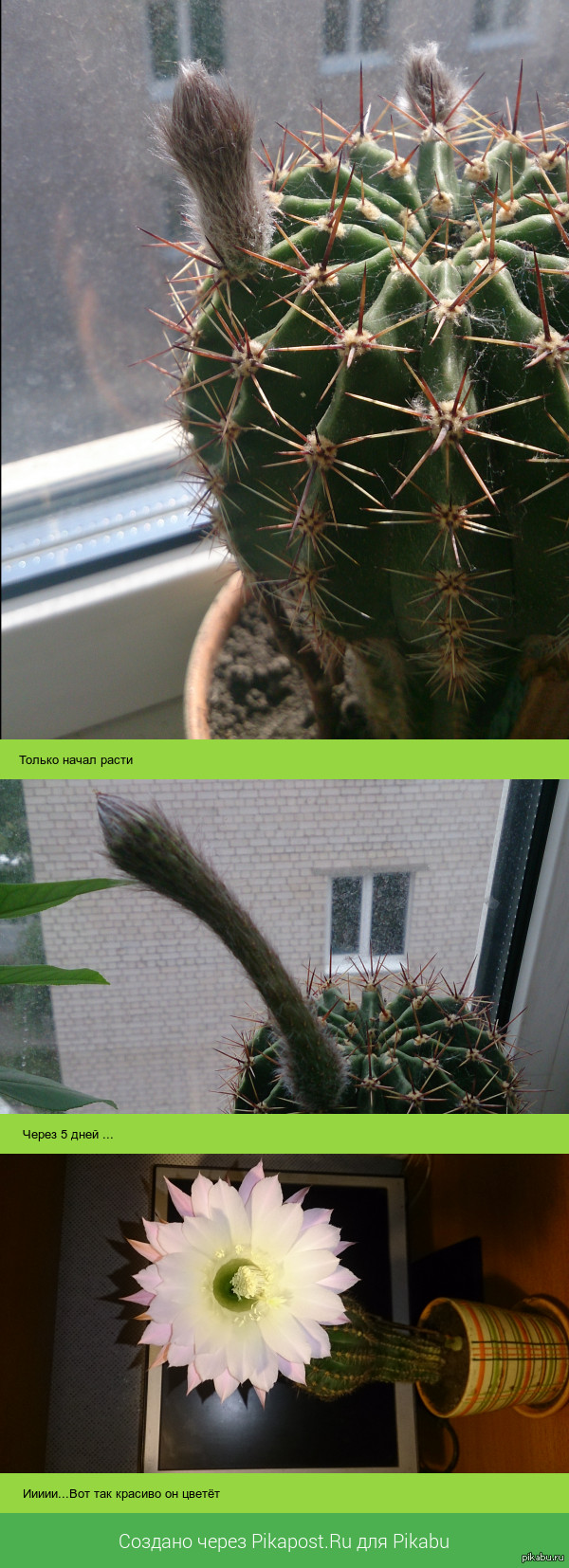 ��� ����� �������� ������...