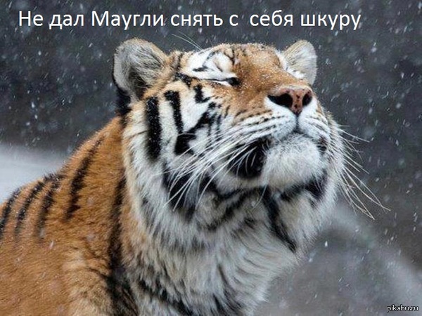 по мотивам сказок