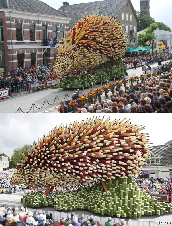 Парад цветов в Голландии