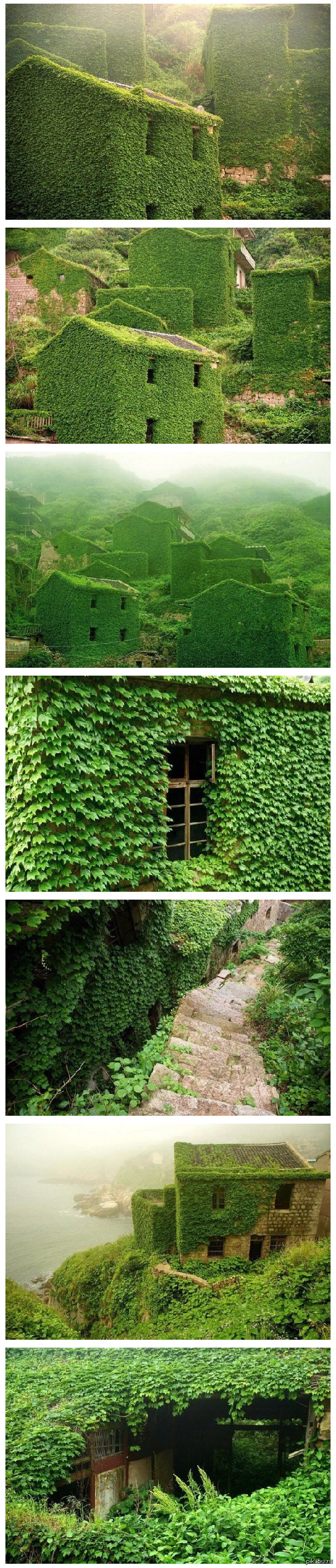 ������ �������