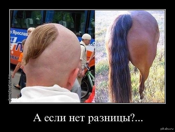 Hairstyle - Tail, Oseledets, Прическа, Image