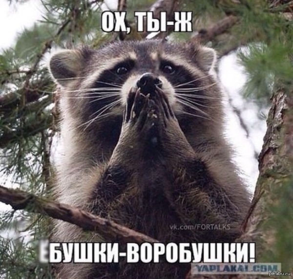 Хит лета 2012: показываем ножки (ФОТО) Хит лета 2012: показываем ножки (ФОТО)