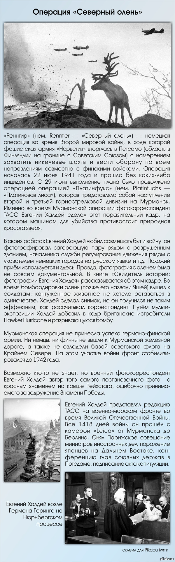 История фото "Операция "Северный олень"