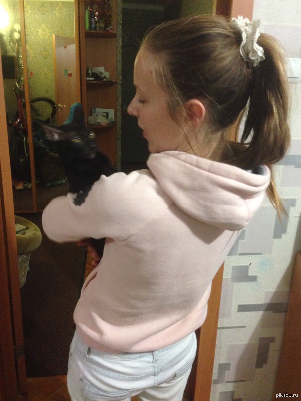 Сила пикабу приди!!ребят, Санкт Петербург, помогите найти кошечке дом!!!