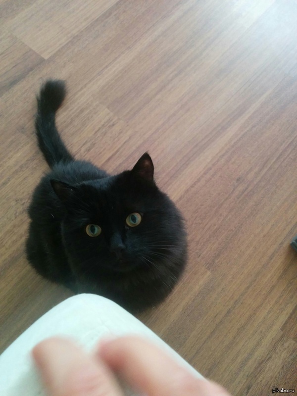 ��� �� ������ �����