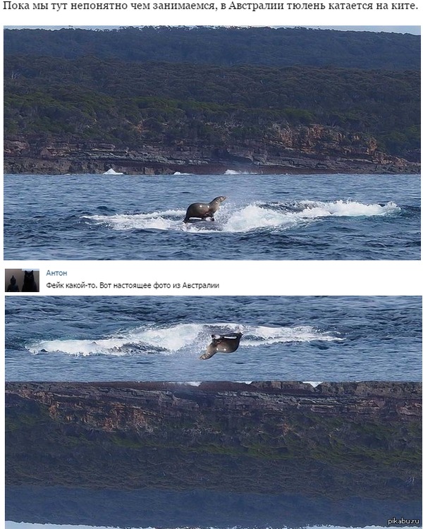 ��������� ���������.