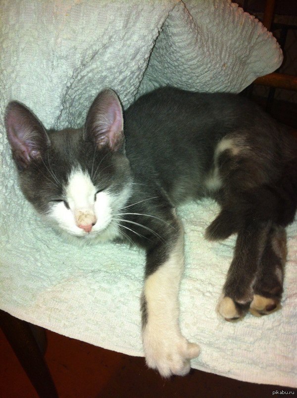 �����������! ������ �������! ���������� � �������!