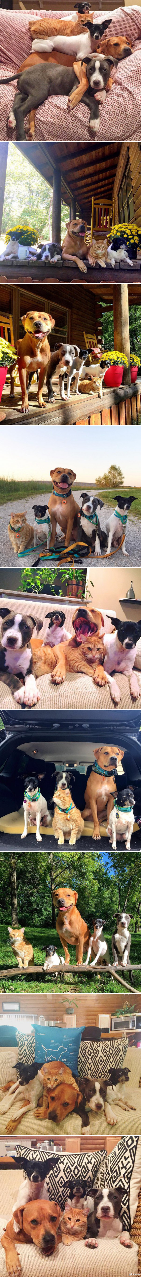 Великолепная пятерка друзей. Roxy, Edith, Mia, Rose и Jake.