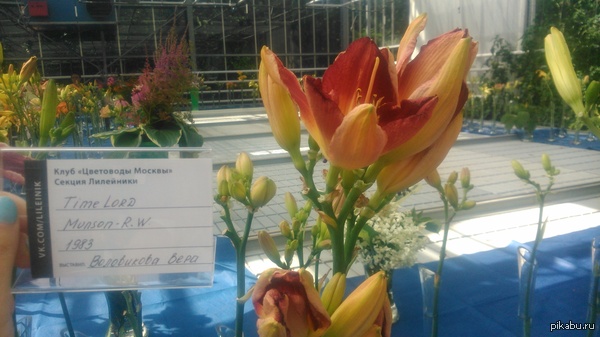 ����� ��� ��������� �����������