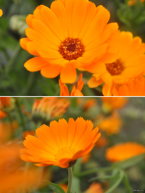 �����, ��� ����� ����� ������� ������ � ���������� ������ ������.