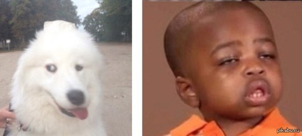 -����� �����?