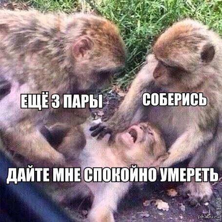 � �� �����