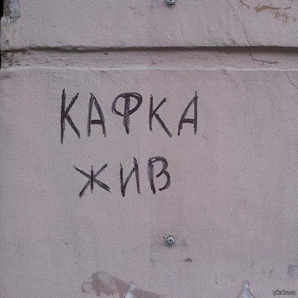 Санкт-Петербургские стены не врут