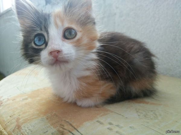 ����������! �������� ����������� ������!