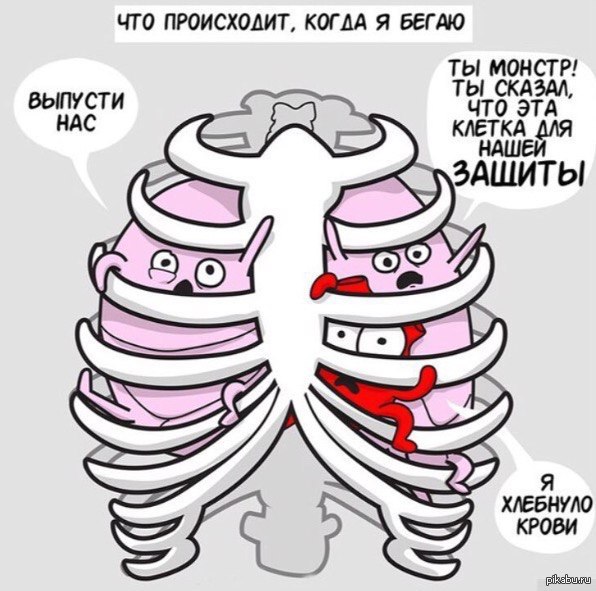 ��� ����������, ����� � �����