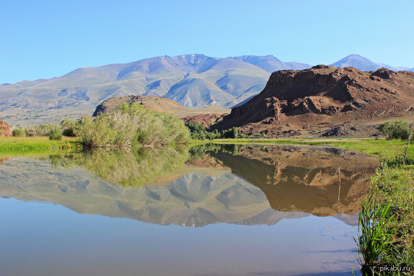 ���� ������...... ������!