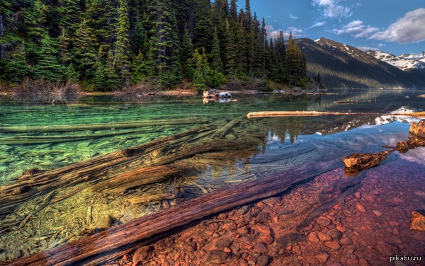 ���������� �������� � ��������� ����� ������, ������.