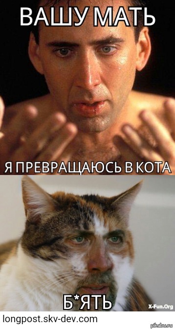 Черт!